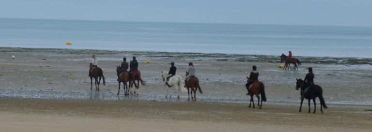 Horses on Normandie Beach